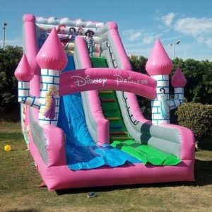 Disney Princess Bouncer