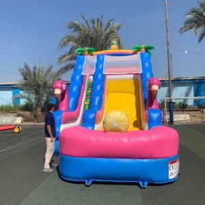 %d8%b2%d9%88%d8%ad%d9%84%d9%8a%d9%82%d9%87-%d9%81%d9%84%d8%a7%d9%85%d9%86%d8%ac%d9%88